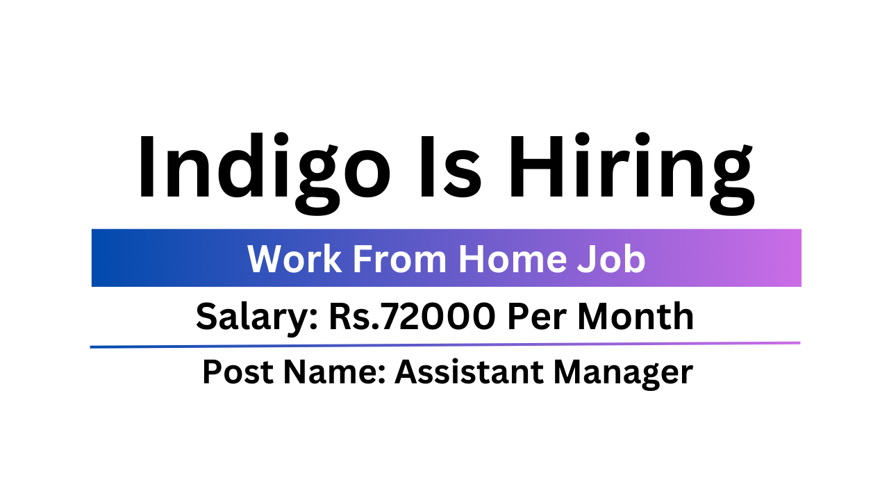 Indigo Is Hiring