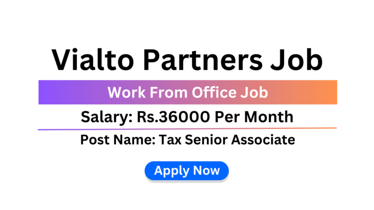 Vialto Partners Job