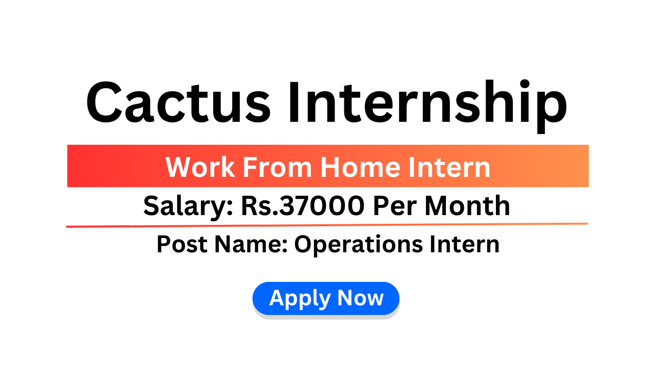 Cactus Internship